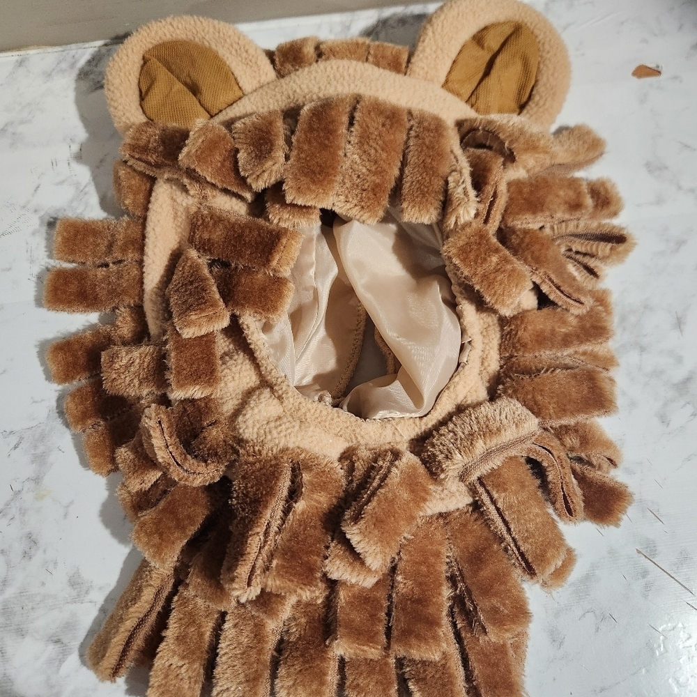Lion Costume Baby 18 Months Halloween Costumes